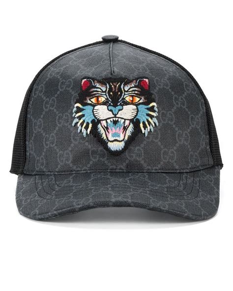 gucci hat angry cat|Gucci dogs for sale.